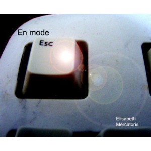 Cover En-mode-esc Elisabeth Mercatoris Carnet de lecture