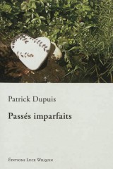 Cover Passés imparfaits Patrick Dupuis Carnet de lecture