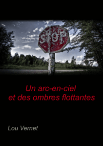 un_arc-en-ciel_et_des_ombres_flottantes Lou Vernet Carnet de lecture