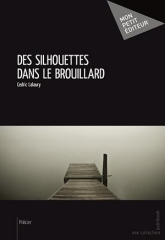 Cover Des silhouettes dans le brouillard Cédric Lalaury Carnet de lecture